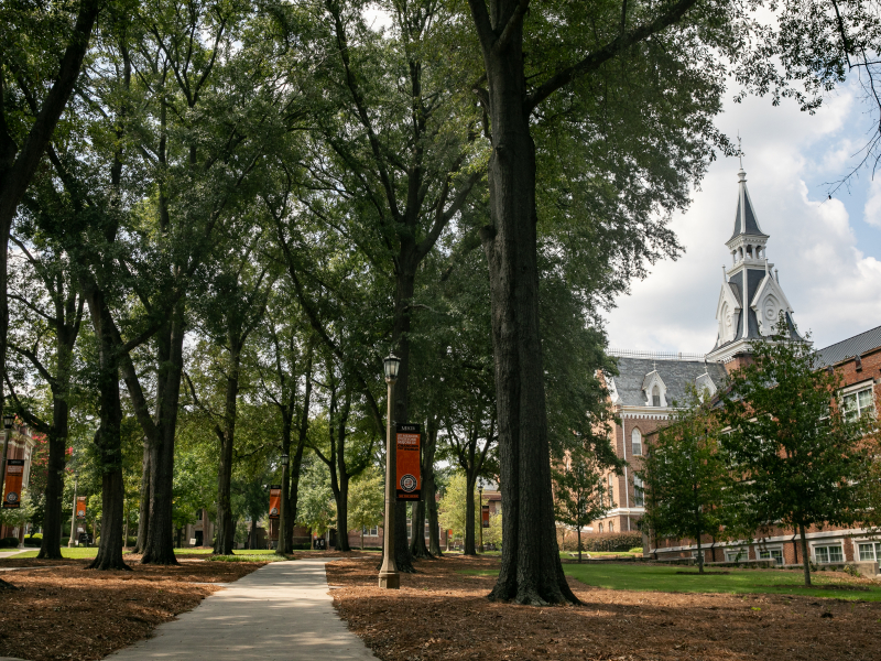 A scenic view of the Mercer University campus with a prominent clock tower, surrounded by lush green trees and a paved pathway.