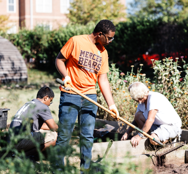 A person wearing an orange Mercer Bears T-shirt rakes soil in a garden.